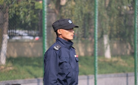 文章附图