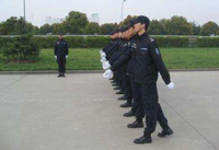 文章附图